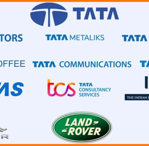 Tata group business strategy